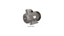 AR INDUSTRIAL ELECTRIC MOTOR - R4123 1750 RPM