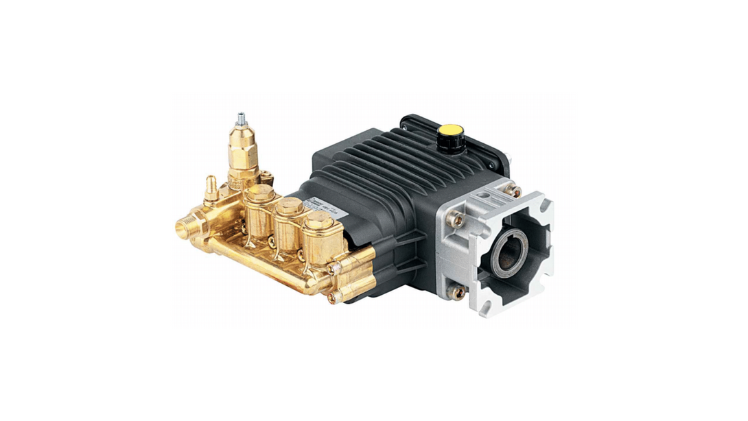 AR RESIDENTIAL HOLLOW SHAFT PUMP - RSV3G30D-F25EZ 3400 RPM D VERSION RSV-25