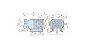 AR INDUSTRIAL HOT WATER PUMP - WHWL38.15N 1450 RPM N VERSION