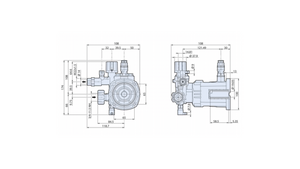 AR RESIDENTIAL HOLLOW SHAFT PUMP - RXV25G30D-EZ 3400 RPM D VERSION RXV
