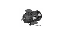 AR INDUSTRIAL ELECTRIC MOTOR - R6015 1750 RPM