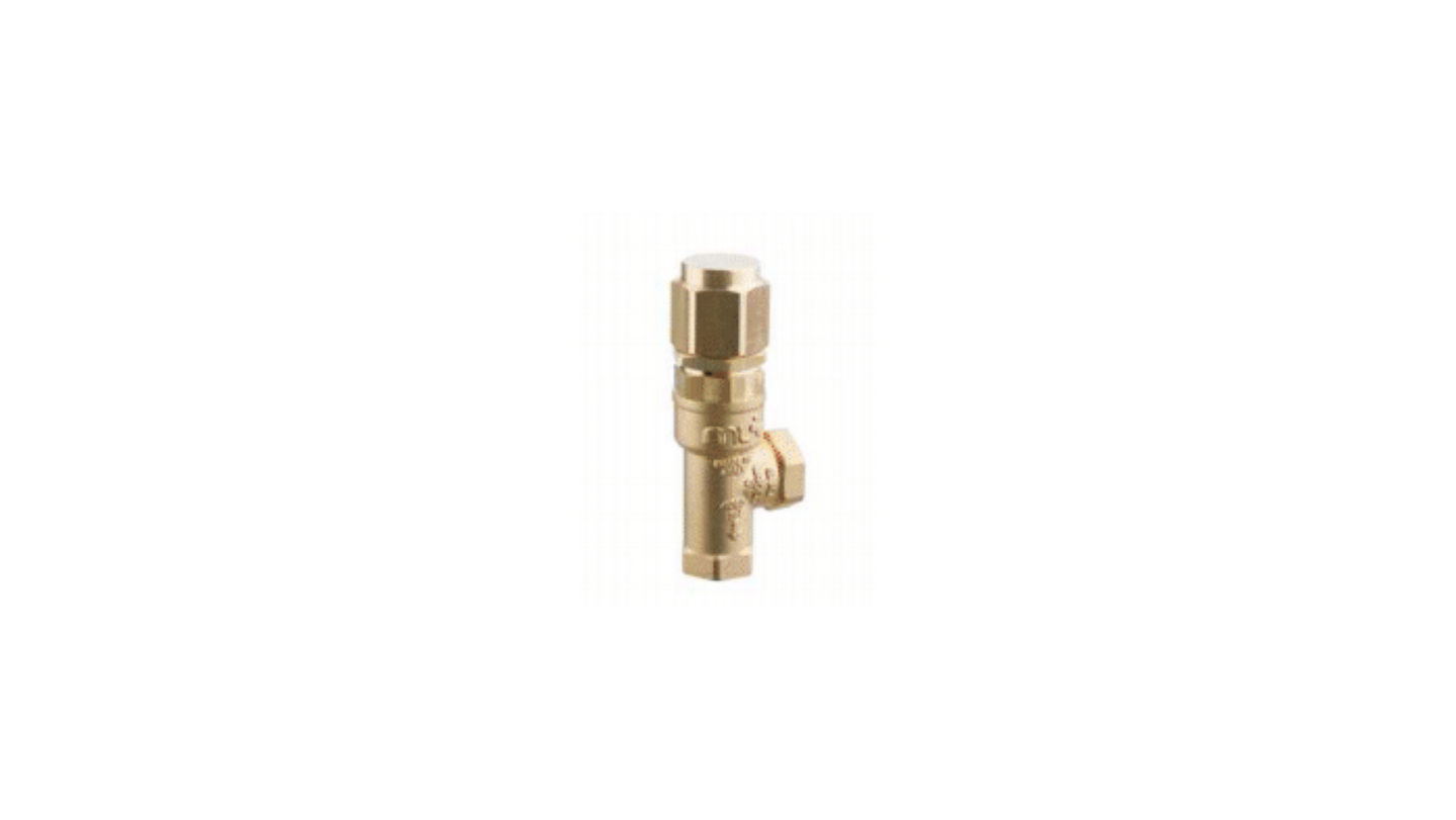 AR ACCESSORY - SVL28 VALVE 4060 PSI