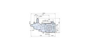 AR RESIDENTIAL HOLLOW SHAFT PUMP - RSV3G30D-F25EZ 3400 RPM D VERSION RSV-25