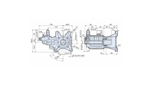 AR RESIDENTIAL HOLLOW SHAFT PUMP - RSV4G40HDF40EZ 3400 RPM D VERSION RSV-40 (On request option only)