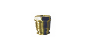 AR SPECIAL PARTS / KITS - AR1381340 Valve Cap, 1/4" threaded - NP Brass (40 ft/lbs)