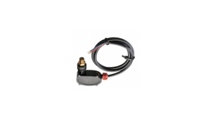 AR ACCESSORY - PS6038 SWITCH 4,060 PSI