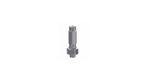 AR ACCESSORY - VS100-140-SS Safety Valve UNLOADER 2,300 PSI